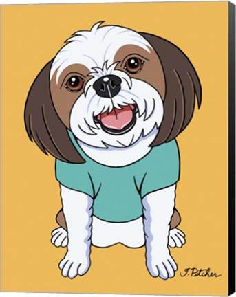 Framed Shih Tzu Brown Print