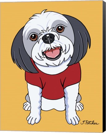 Framed Shih Tzu Gray Print