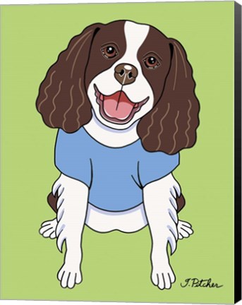 Framed Springer Spaniel Print