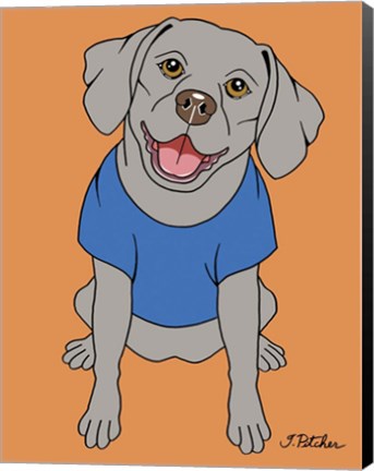 Framed Weimaraner Print