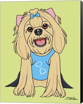 Framed Yorkshire Terrier Showcut Print