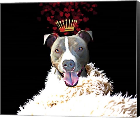 Framed Royal Love Pup - Pit Bull Terrier Print