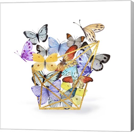 Framed Butterfly Terrarium Print