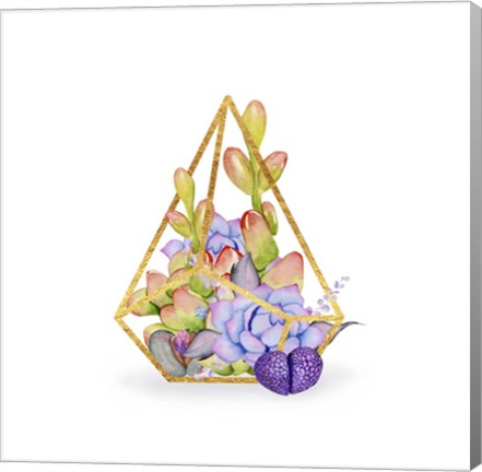 Framed Succulent Terrarium Print