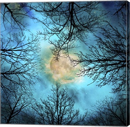 Framed Evening Print