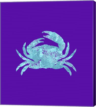 Framed Sponge Crab Aqua Print
