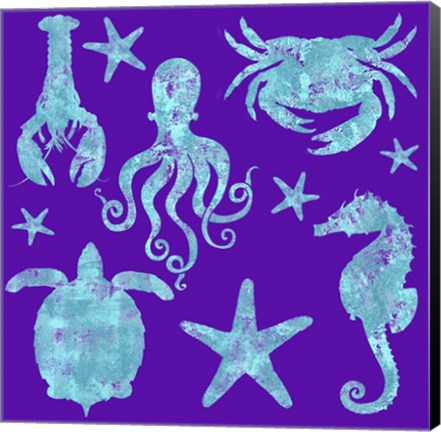 Framed Sponge Marine Life Grouping Print