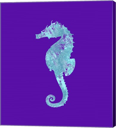Framed Sponge Seahorse Aqua Print