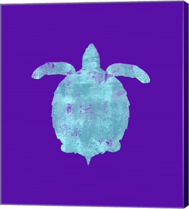 Framed Sponge Turtle Aqua Print