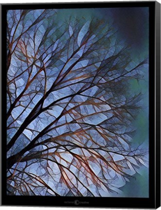 Framed Early Evening Tree Print