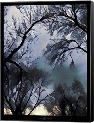 Framed End Of Day Winter Trees Print