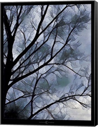 Framed Misty Tree Print