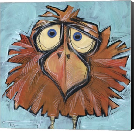 Framed Square Bird 24B Print