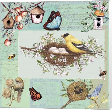 Framed Birds &amp; Bees Color-Blocks Green Print