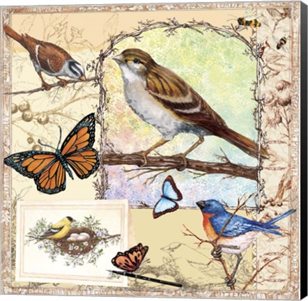 Framed Birds, Butterflys, Bees-Pastels Print