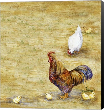 Framed Chicken Yard Print