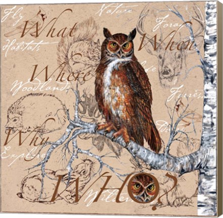 Framed Owl In The Wildnerness Print