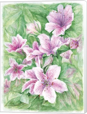 Framed Pink Azaleas Watercolor Print