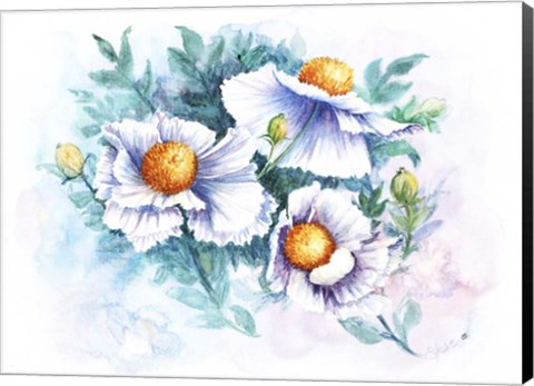 Framed White Poppies Print
