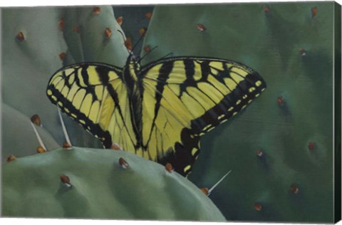 Framed Butterfly 2 Print