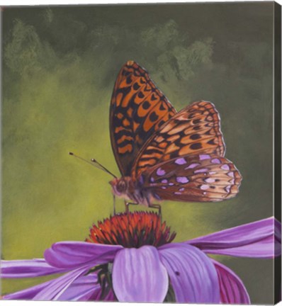 Framed Butterfly 4 Print