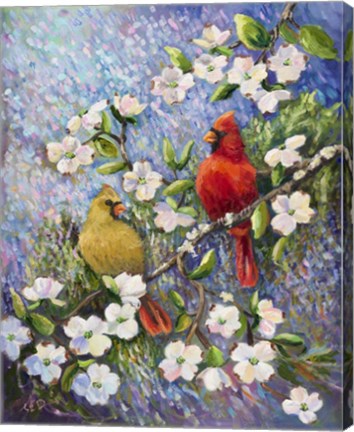Framed Cardinal Impressions Print