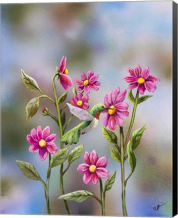 Framed Hummingbird with Dhalia Print