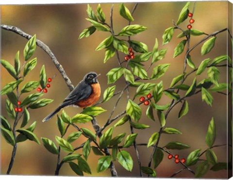 Framed Robin with Holly Print