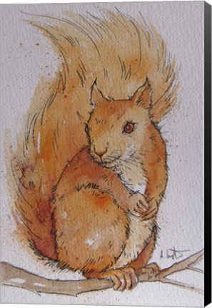 Framed Squirrel Print
