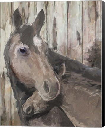 Framed Mare and Colt Print