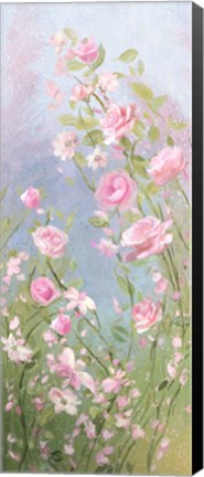 Framed Morning Mist Roses Print