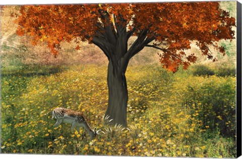 Framed Nature Color Print