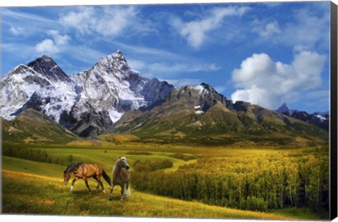 Framed Wild Nature Print