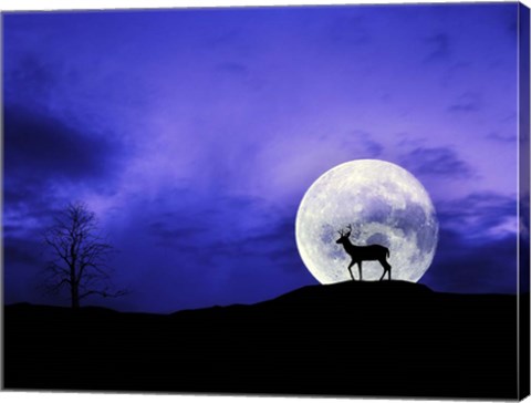 Framed Big Moon Print