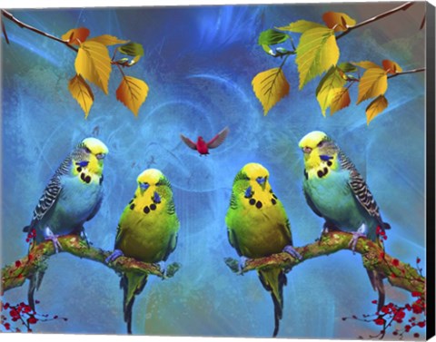 Framed Color Birds Print