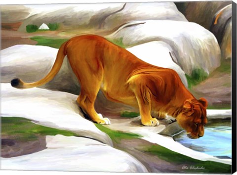 Framed Lioness Print