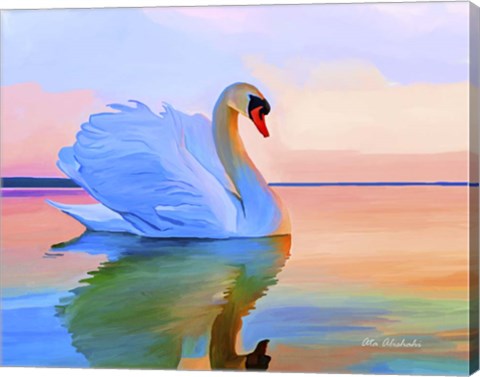 Framed White Swan Print