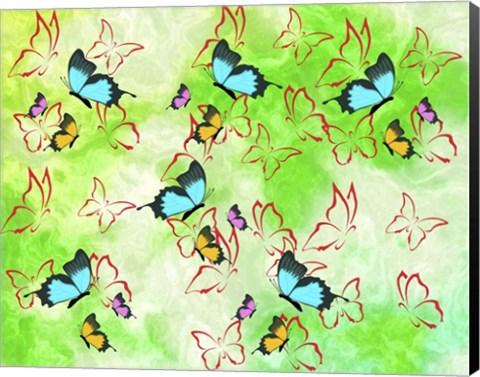 Framed Butterflies Print