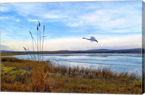 Framed Wild Nature 2 Print