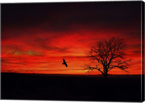 Framed Lone Tree And A Bird Print