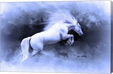 Framed White Horse Print
