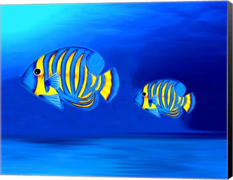 Framed Colorful Fishes Print