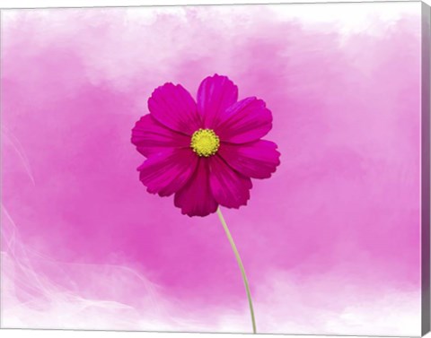 Framed Pink Flower Print