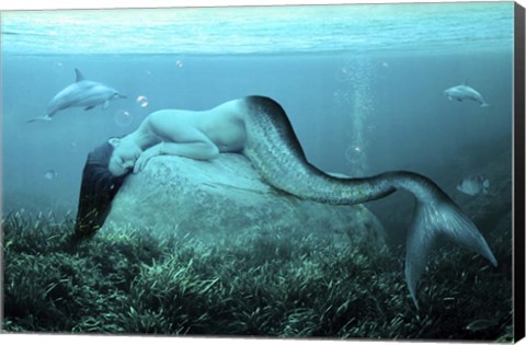 Framed Sleeping Mermaid Print