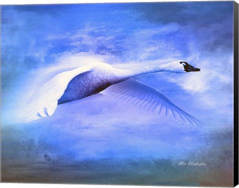 Framed Swan Fly Print