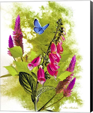 Framed Nature And Colors Print