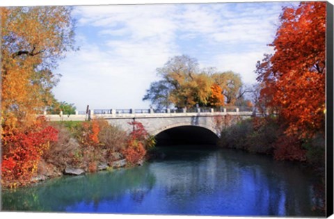 Framed Autumn 2 Print