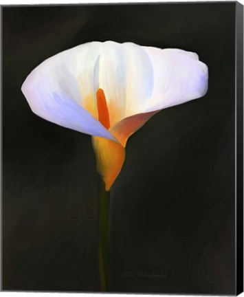 Framed Beautiful Flower Print