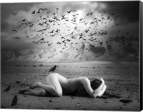 Framed Black Bird Land Print