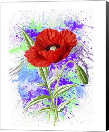 Framed Poppy Flowers Print